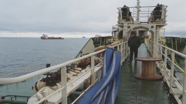 Серйозний чоловік ходить на борту сучасного танкера, який здійснює наліт порту — стокове відео