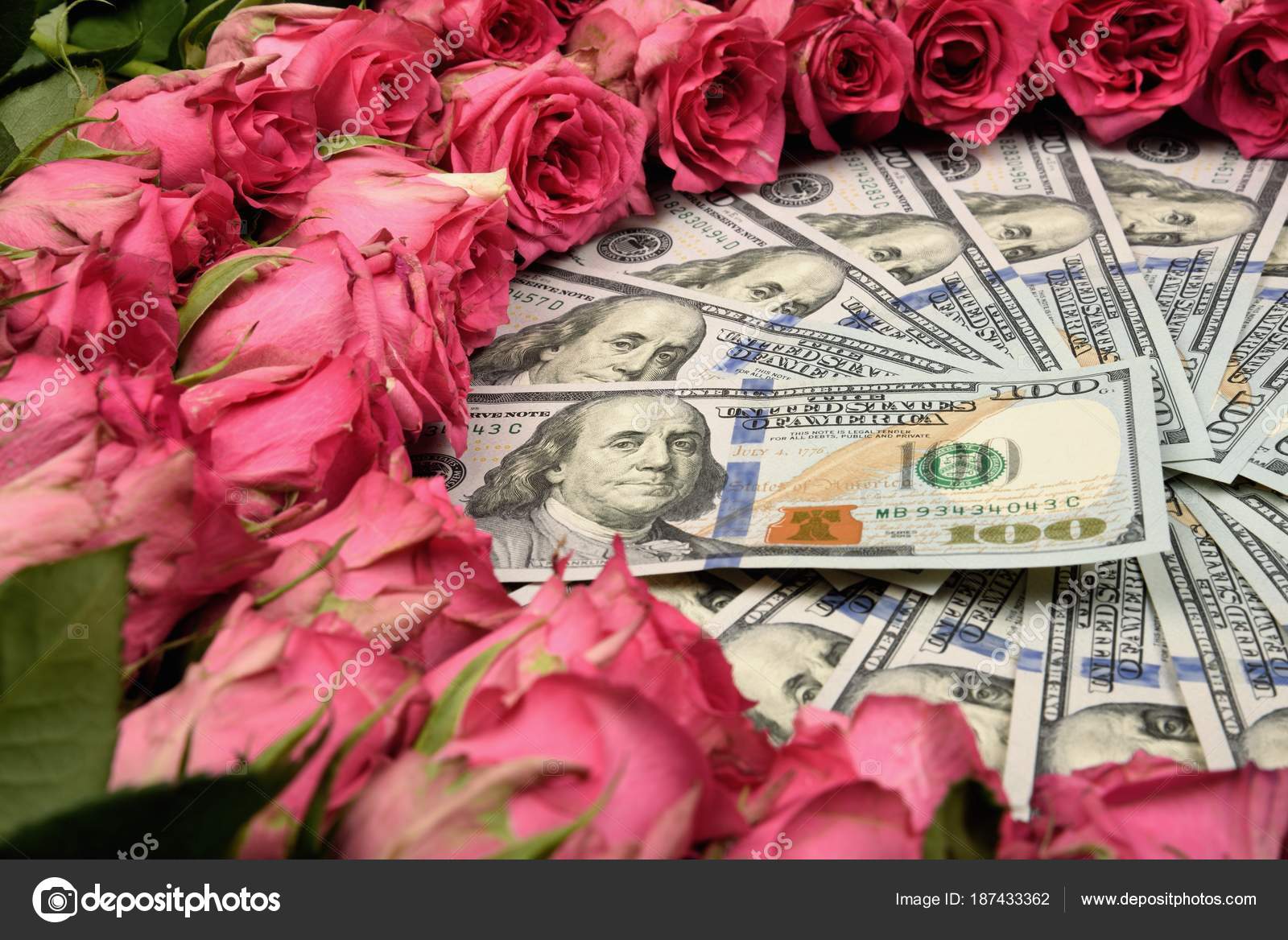 Gift Holiday Laid Out Pink Beautiful Roses Flowers Hundred Dollar A Gift For The Holiday Laid Out Around Pink Beautiful Roses And Flowers Hundred Dollar Bills Stock Image