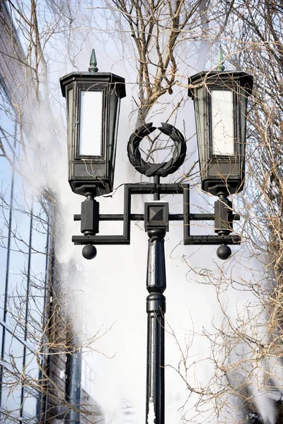 Street electric lantern under the old days against the sky, tree branches and a glass building