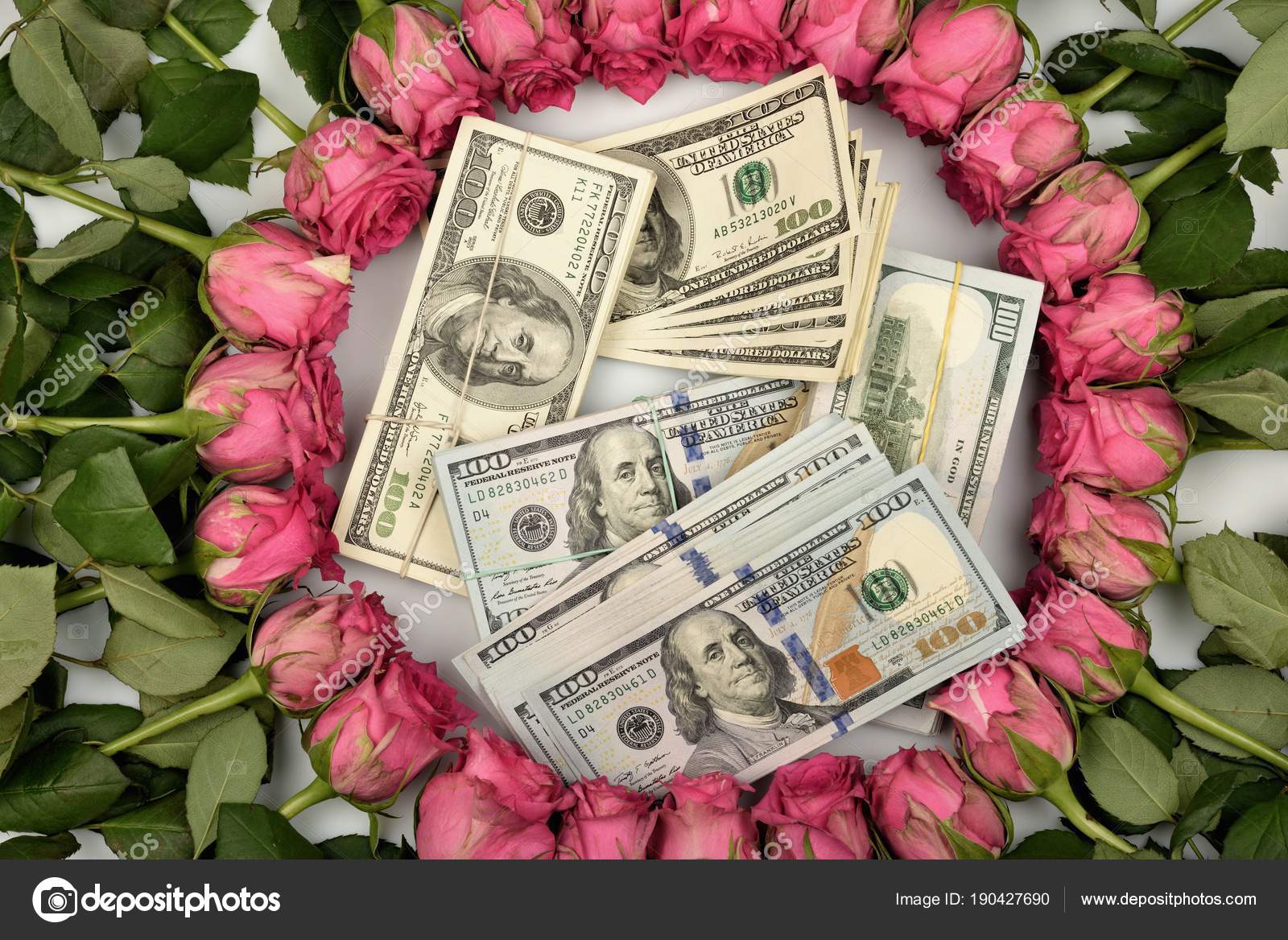 Gift Holiday Laid Out Pink Beautiful Roses Flowers Hundred Dollar A Gift For The Holiday Laid Out Around Pink Beautiful Roses And Flowers Hundred Dollar Bills Stock Editorial Photography