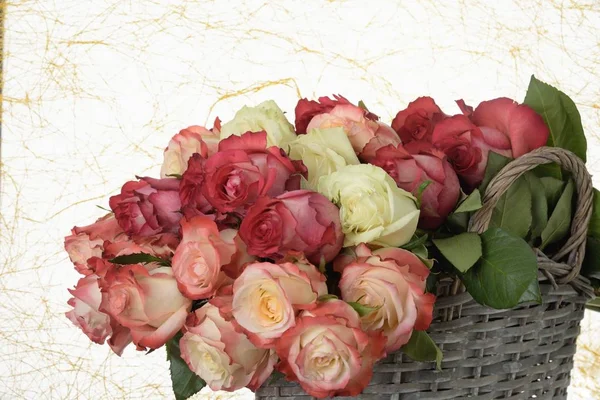 背景上一大束五颜六色的粉红色和白色美丽的新鲜玫瑰在一个柳条篮与手柄 — 图库照片