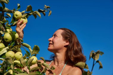 Beautiful middle-aged woman smiling joyfully hugs the fruits of an apple tree on a background of a summer blue sky.