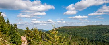 Bavyera, Almanya 'daki Kara Orman. Dağlarla, ormanlarla, göllerle ve büyüleyici ülkelerle el değmemiş doğa. Mummelsee Gölü ve deniz kızı heykeli.