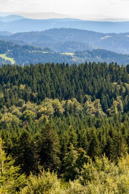 Bavyera, Almanya 'daki Kara Orman. Dağlarla, ormanlarla, göllerle ve büyüleyici ülkelerle el değmemiş doğa. Mummelsee Gölü ve deniz kızı heykeli.