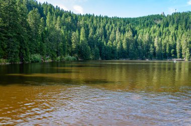 Bavyera, Almanya 'daki Kara Orman. Dağlarla, ormanlarla, göllerle ve büyüleyici ülkelerle el değmemiş doğa. Mummelsee Gölü ve deniz kızı heykeli.