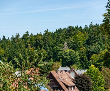 Bavyera, Almanya 'daki Kara Orman. Dağlarla, ormanlarla, göllerle ve büyüleyici ülkelerle el değmemiş doğa. St. Margen Köyü.