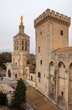 Avignon, Fransa. 13. yüzyılda Papa 'nın müstahkem konutu Rhone nehri tarafından geçilir. Papalık Sarayı manzarası ve Notre-Dame des Doms katedrali..