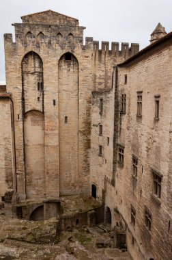 Avignon, Provence bölgesinde, Fransa. 13. yüzyılda Papa 'nın müstahkem konutu Rhone nehri tarafından geçilir. Papalık Sarayı 'nın manzarası.