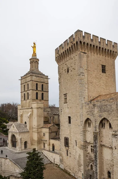Avignon Frankreich Befestigte Stadtresidenz Der Päpste Jahrhundert Die Von Der — Stockfoto