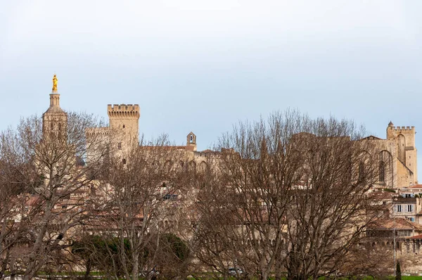Avignon Região Provence França Cidade Fortificada Histórica Famosa Pelo Palácio — Fotografia de Stock