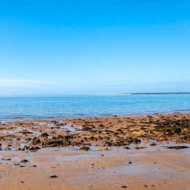 Fransa 'daki Arcachon' un Dune du Pilat 'ı, Avrupa' nın en yüksek kum tepeleri: yamaç paraşütü, istiridye yetiştirme, çöl ve plaj. Yeni Aquitaine bölgesindeki Gironde Bölgesi 'nin Fransız komünü, balzamik deniz iklimiyle ünlüdür..
