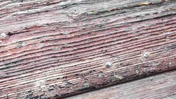 意大利农村房屋门的木制面板 用传统色彩的乡村房屋漆成的木结构 随着时间的流逝而破碎和毁坏 — 图库视频影像
