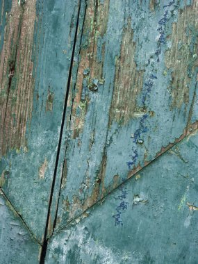 Eski İtalyan kırsal kapısı.