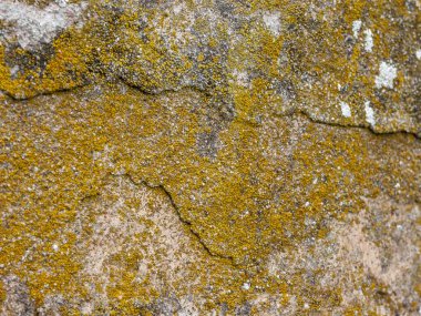 Tipik antik İtalyan evi duvarı.