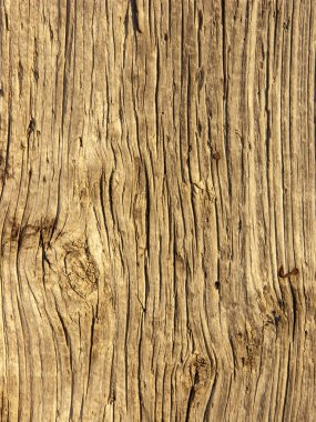 Köy evi için boyanmış ahşap duvarlar ve süsler..