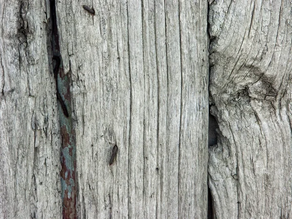 Walls and ornaments in painted wood for the country house. — Stock Photo, Image