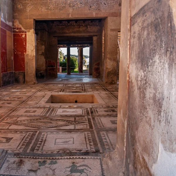 Pompeii, dünyanın en iyi korunmuş arkeolojik alanı, İtalya. Bahçeyle iç içe.