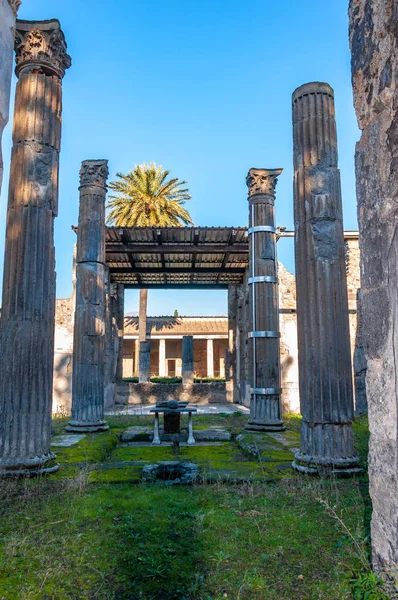 Pompeii Best Preserved Archaeological Site World Italy Home Interior Garden — Stock Photo, Image