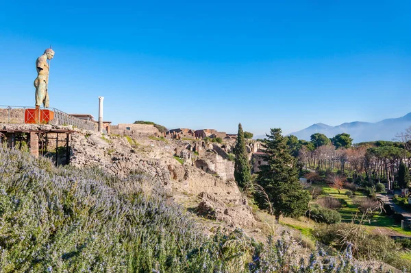 Pompeya Sitio Arqueológico Mejor Conservado Del Mundo Italia Estatua Del —  Fotos de Stock