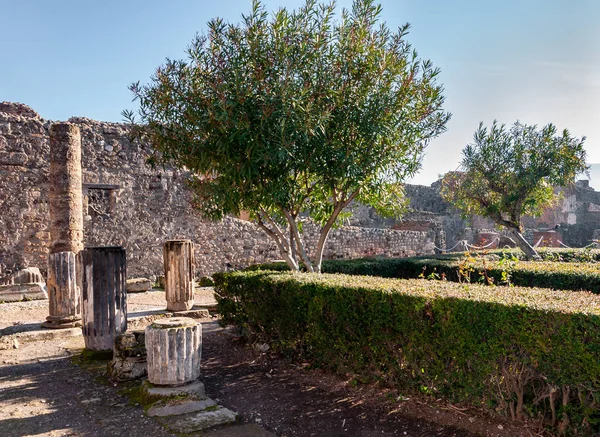 Pompéi Site Archéologique Mieux Conservé Monde Avec Des Maisons Des — Photo