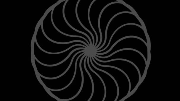 Графический Рисунок Черно Белым Стробоскопическим Гипнотическим Эффектом Время Вращается Часовой — стоковое видео
