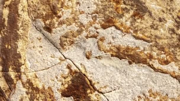 古代イタリアの農村部の家の典型的な壁の詳細は 川の石を彫刻し 手で生産 — ストック動画