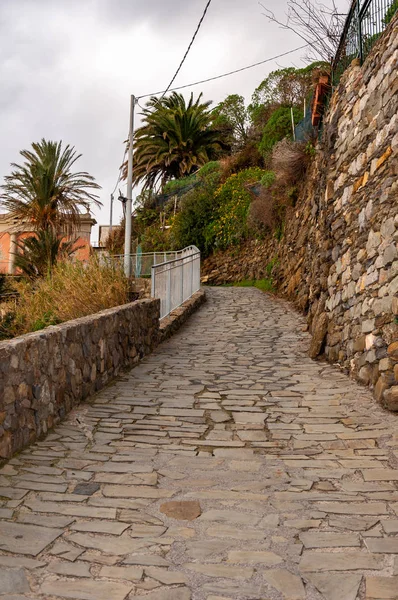Manarola Cinque Terre, İtalya 'da. Deniz kenarındaki görkemli köyü deniz parkının diğer kasabalarına bağlayan yürüyüş yolu, kirlenmemiş doğaya batmış. Yürüyüş yolu.