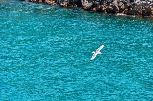 Portovenere Włoszech Piękna Nadmorska Wioska Słynną Zatoką Poetów Która Zainspirowała — Zdjęcie stockowe