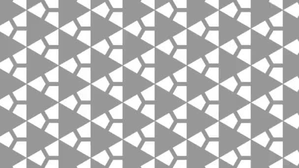 Graphic Pattern Black White Stroboscopic Hypnotic Effect While Increasing Size — Stock Video