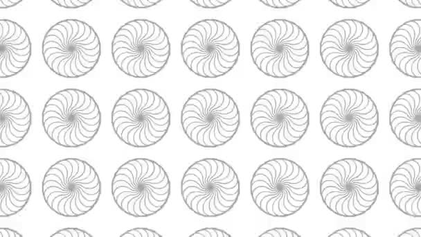 黒と白のグラフィックパターンは 立体感と催眠効果を持ちながら サイズを大きくし それを減らす 9ビデオフォーマット — ストック動画