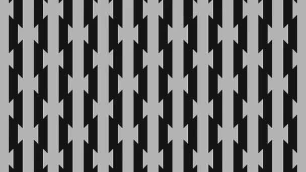 Graphic Animation Black White Minimal Background Which Varies Size Angle — Stock Video