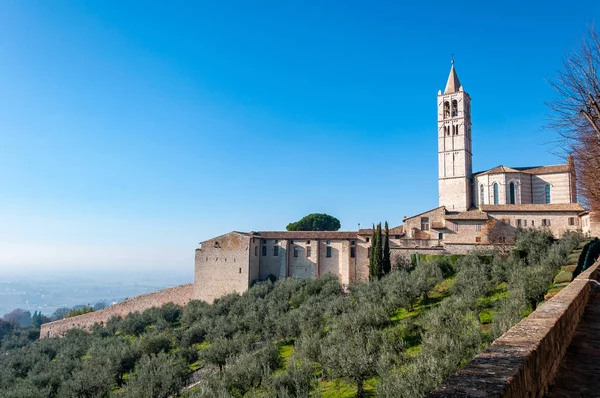 阿西西 和平之城 意大利 圣弗朗西斯的诞生地 联合国教科文组织世界遗产 看到圣恰拉大教堂和前面有橄榄树的小山 — 图库照片