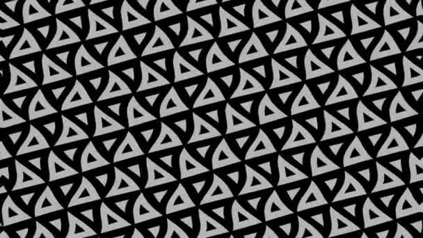 Abstract Black White Animation Minimal Background Wave Effect Which Varies — ストック動画