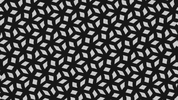 Abstract Black White Animation Minimal Background Wave Effect Which Varies — ストック動画