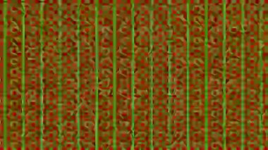 Kaleydoskop animasyonuna sahip renkli grafik deseni, psikedelik, hipnotik ve stroboskopik efektli bir arka planda, 16: 9 video biçiminde