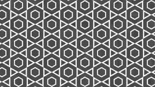 Graphic Pattern Black White Stroboscopic Hypnotic Effect While Increasing Size — Stock Video