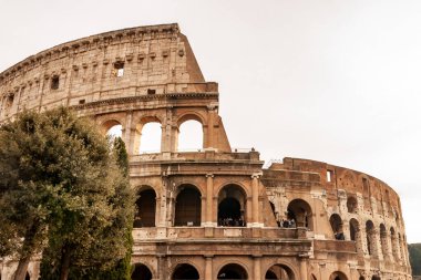 Roma İtalya. Roma İmparatorluğu 'nun gladyatörleriyle ünlü Colosseum' un dışı dünyanın yeni yedi harikasına eklendi. Tipik mimari kemer ve frizlerin ayrıntıları.