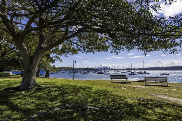 Utsikt över Sydney skyline från Watson 's Bay — Stockfoto