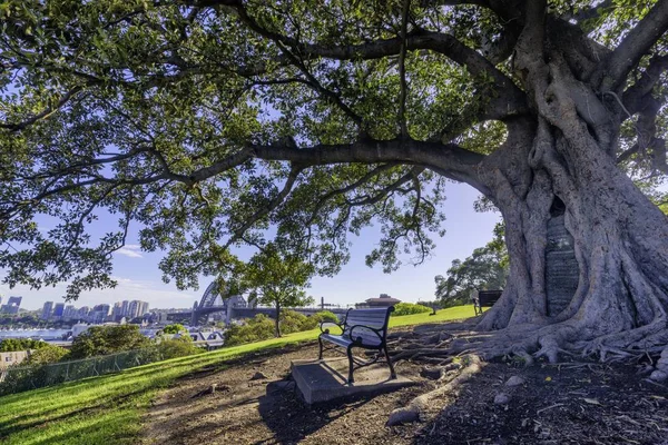 Nádherný výhled na přístavní most v Sydney — Stock fotografie