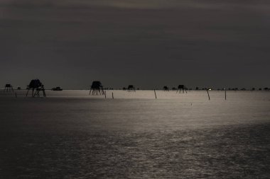 Sabah Dong Chau Sahili, Tien hai bölgesi, Tayland Binh eyaleti, Vietnam 'ın en büyük deniz tarlalarından biri..