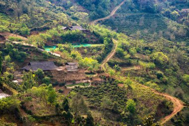 Ta Xua, Kuzey Vietnam 'da bulunan ünlü bir sıradağdır. Tüm yıl boyunca, dağ bulutların üzerinde yükselir ve bulut tepkisi yaratır..