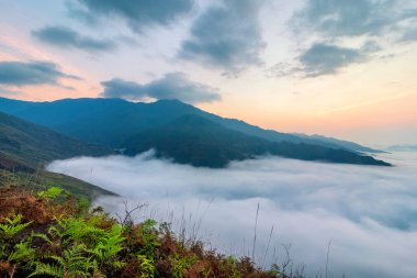 Ta Xua, Kuzey Vietnam 'da bulunan ünlü bir sıradağdır. Tüm yıl boyunca, dağ bulutların üzerinde yükselir ve bulut tepkisi yaratır..