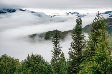 Ta Xua, Kuzey Vietnam 'da bulunan ünlü bir sıradağdır. Tüm yıl boyunca, dağ bulutların üzerinde yükselir ve bulut tepkisi yaratır..