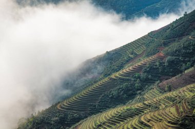 Ta Xua, Kuzey Vietnam 'da bulunan ünlü bir sıradağdır. Tüm yıl boyunca, dağ bulutların üzerinde yükselir ve bulut tepkisi yaratır..