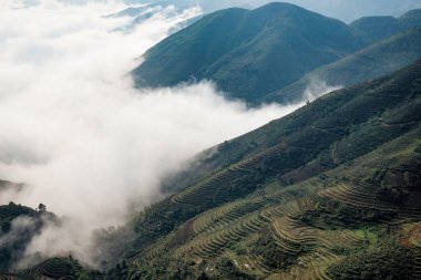 Ta Xua, Kuzey Vietnam 'da bulunan ünlü bir sıradağdır. Tüm yıl boyunca, dağ bulutların üzerinde yükselir ve bulut tepkisi yaratır..