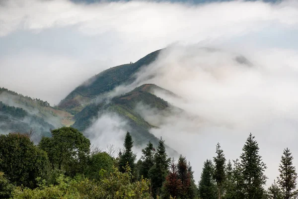 Ta Xua, Kuzey Vietnam 'da bulunan ünlü bir sıradağdır. Tüm yıl boyunca, dağ bulutların üzerinde yükselir ve bulut tepkisi yaratır..