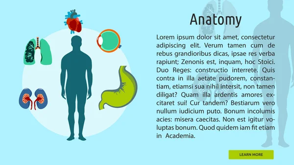 Bannière conceptuelle d'anatomie — Image vectorielle