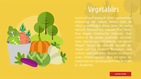 Banner Conceptual de Verduras — Vector de stock