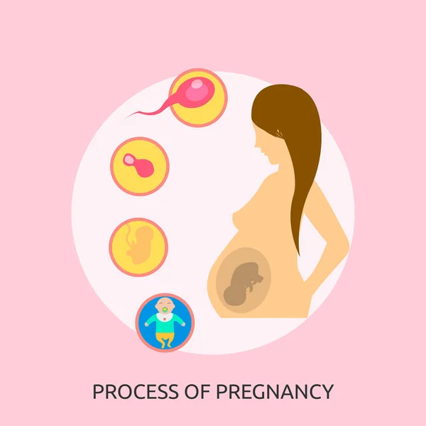 Prozess der Konzeption der Schwangerschaft — Stockvektor