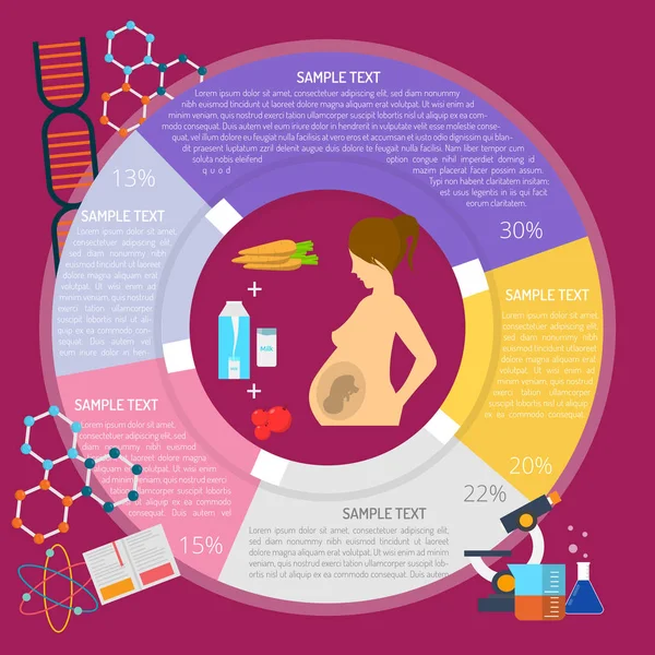 Diseño de infografía embarazada — Vector de stock